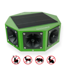Doxmand VR8